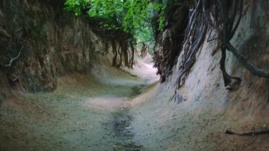 Polonya, Kazimierz Dolny 'de loess vadisi