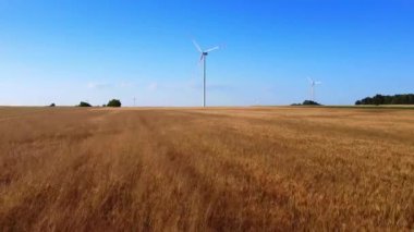 Rüzgar enerjisi türbinleri buğday tarlasının yakınında