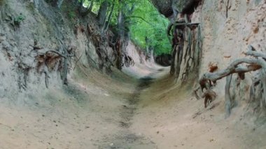 Polonya, Kazimierz Dolny 'de loess vadisi