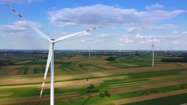 Wind farm of many windmills from drone — Stock Video
