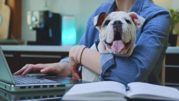 Frauen tippen am Computer und halten eine kleine Bulldogge in der Hand — Stockvideo