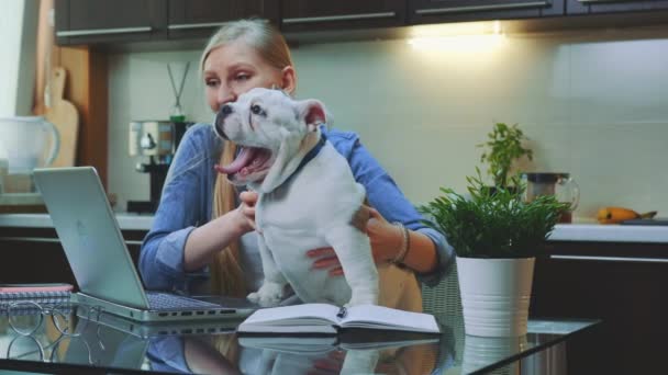 Lycklig kvinna gör videosamtal på laptop med en liten bulldogg på händerna. — Stockvideo