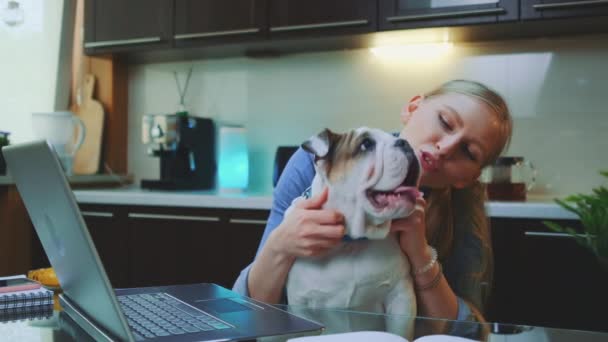 Happy blonde woman scratching the neck of bulldog puppy sitting in front of laptop in the kitchen — Stock Video