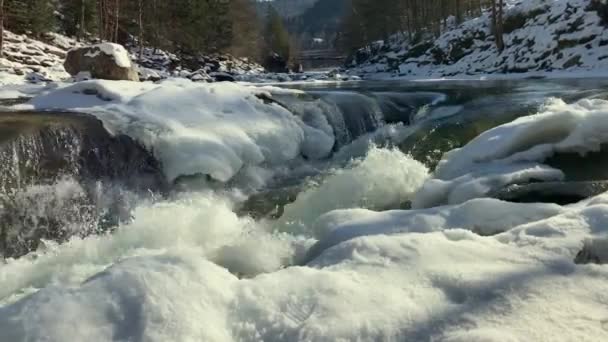 Starkt flöde av en fjällflod täckt med snö på vintern — Stockvideo