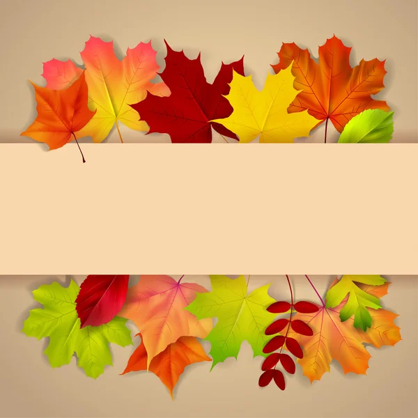 Kleurrijke herfstbladeren. — Stockvector