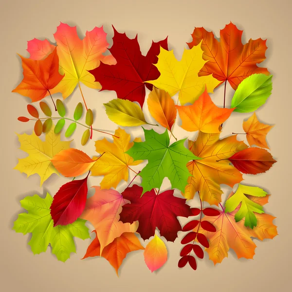 Várias folhas de outono no fundo bege —  Vetores de Stock