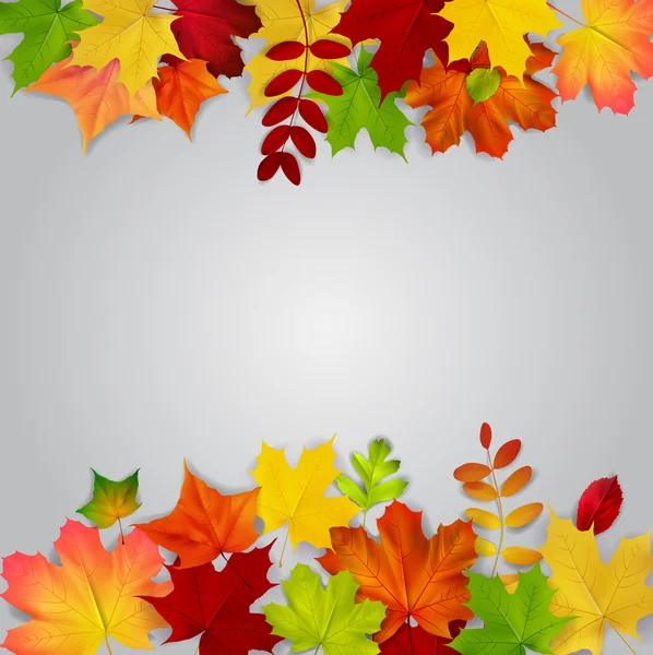 Kleurrijke Herfstbladeren op grijze achtergrond — Stockvector