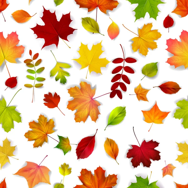 Vector autumn leaves seamless pattern — Stock Vector