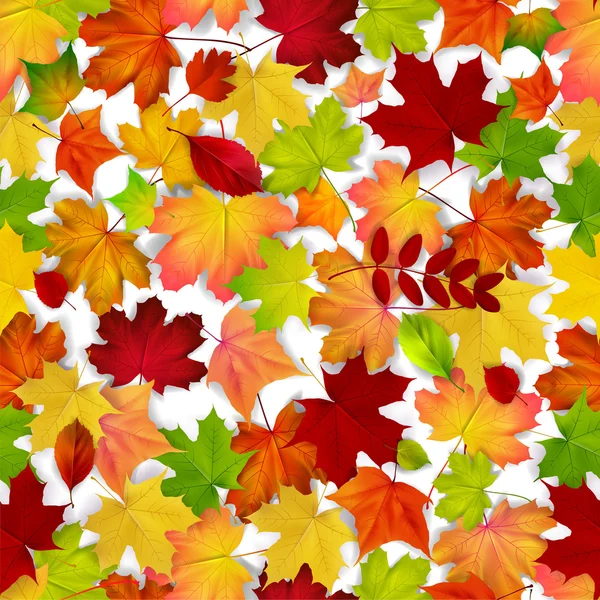 Colorful seamless pattern with autumn maple leaves. — Stock Vector