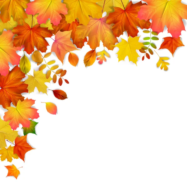 Kleurrijke herfst esdoorn bladeren frame, vectorillustratie — Stockvector