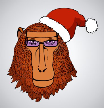 Bir Noel şapkalı bir maymun portresi