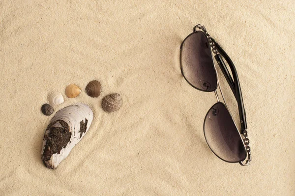 Coquilles de mer empreinte et lunettes de soleil — Photo