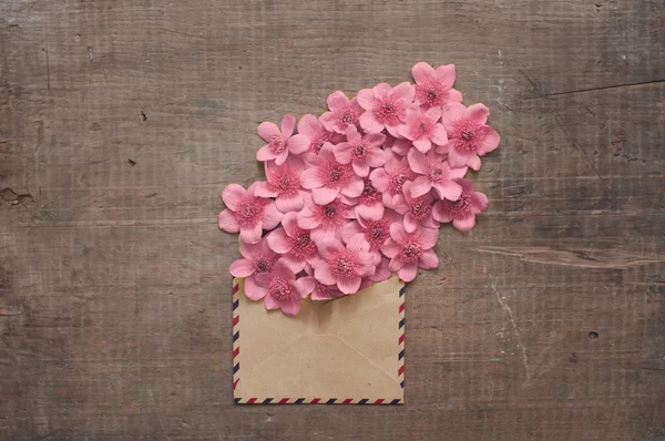 Flores selvagens no envelope vintage — Fotografia de Stock