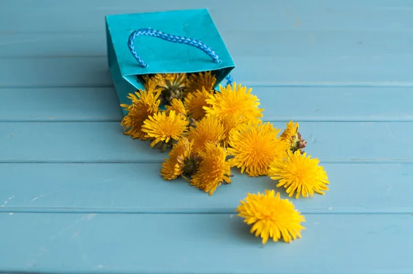青い袋でタンポポの花 — ストック写真