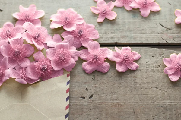 Salpicadura de flores rosadas — Foto de Stock