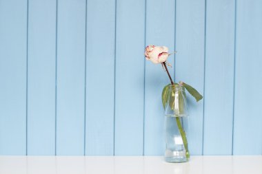 şişe suyu ayakta beyaz kuru gül