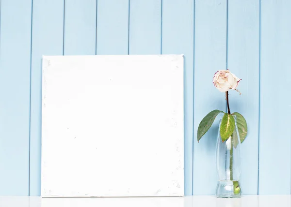 Una tela bianca e rosa bianca nella bottiglia — Foto Stock