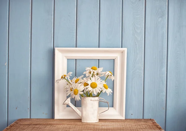 Camomiles in watering can — Stock Photo, Image