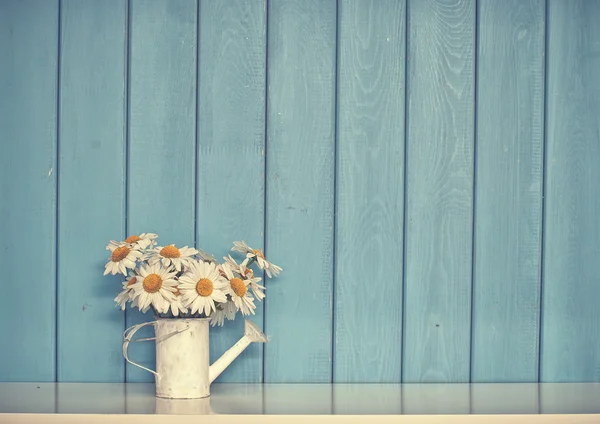 Camomiles in watering can — Stock Photo, Image