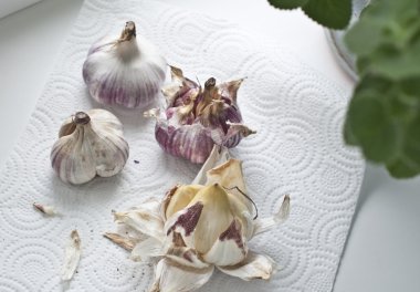 taze sarımsak ampuller