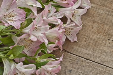 Ahşap arkaplanda çiçekler