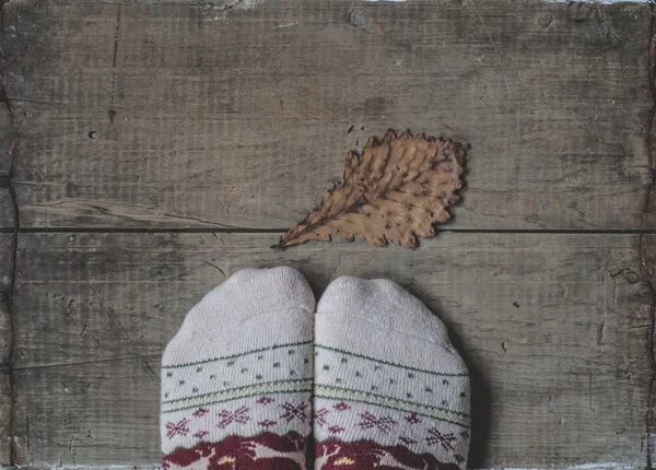 Piernas en calcetines de lana de punto y hoja de roble — Foto de Stock