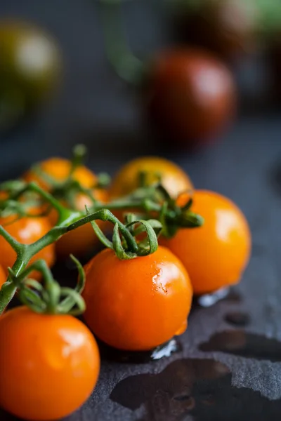 Orange Cherry Tomatoes — Stock Photo, Image