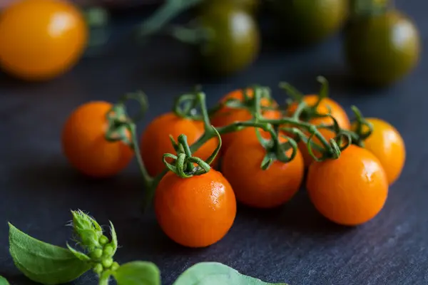 Orange Cherry Tomatoes — Stock Photo, Image