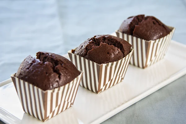 Homemade Chocolate cupcakes — Stock Photo, Image