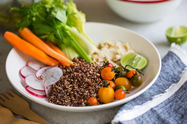 Quinoa met salade van selderij, wortel en hummus — Stockfoto