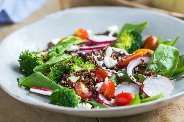 Red Quinoa with spinach and feta cheese salad — Stock Photo, Image