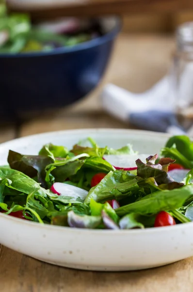 Salade fraîche feuillue — Photo