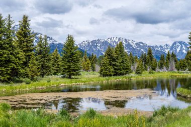 Grand Tetons NP, Wyoming 'in manzarası