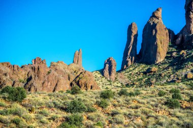 Kayıp Hollandalı SP, Arizona 'nın gözden kaçırılmış görüntüsü