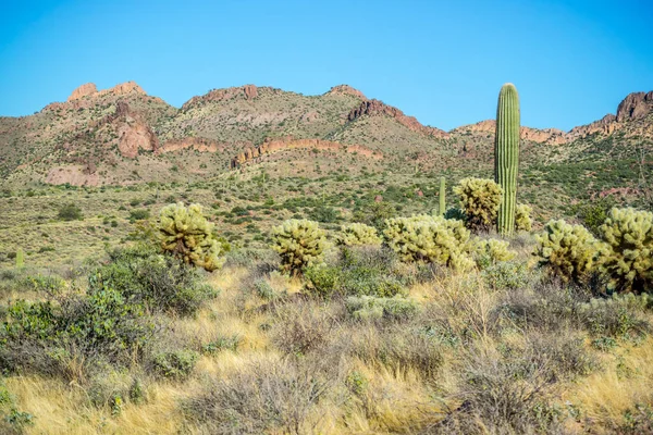 Overlooking View Lost Dutchman Arizona — Stock Photo, Image