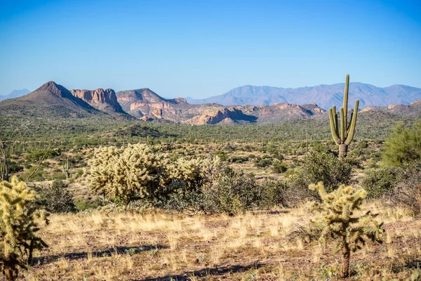 Overlooking View Lost Dutchman Arizona — Stock Photo, Image