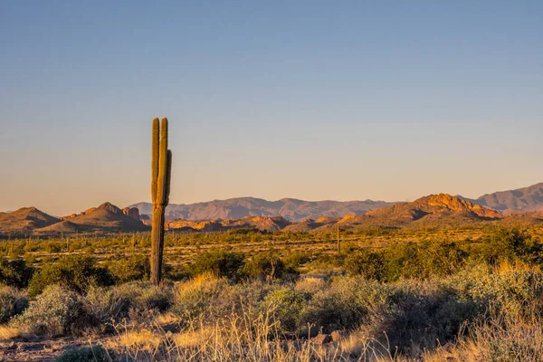 Overlooking View Lost Dutchman Arizona — Stock Photo, Image