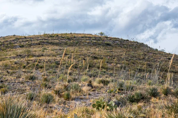 可俯瞰亚利桑那州纳基什内尔洞穴Np的景观 — 图库照片
