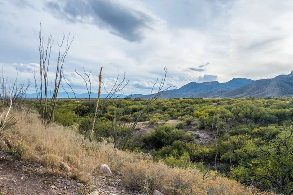 Overlooking View Kartchner Caverns Arizona — Stock Photo, Image