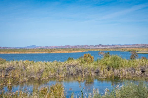 Vista Panorámica Naturaleza Yuma Arizona —  Fotos de Stock