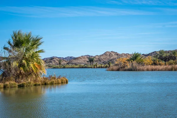 Vista Panorámica Naturaleza Yuma Arizona —  Fotos de Stock
