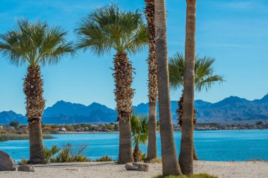 Arizona Havasu Gölü 'nde nefes kesici bir manzara.