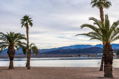 Huzurlu bir göl manzaralı, ferahlatıcı bir su akıntısı.