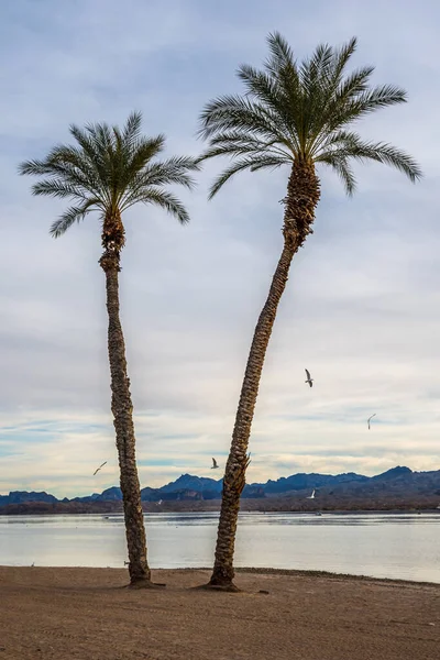 Grande Fluxo Refrescante Água Com Uma Vista Tranquila Lago — Fotografia de Stock