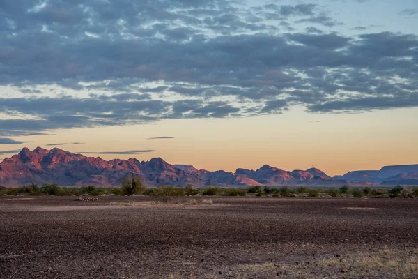 Uitzicht Natuur Langs Quartzsite Arizona — Stockfoto