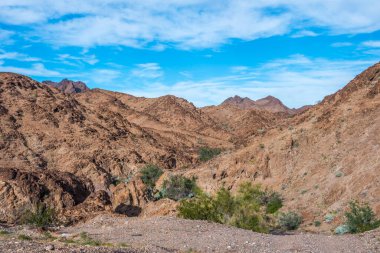 Arizona, Yuma 'da doğaya bakış açısı