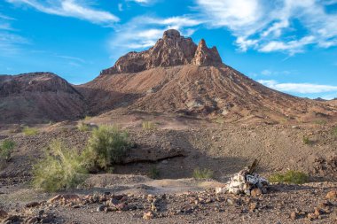 Arizona, Yuma 'da doğaya bakış açısı