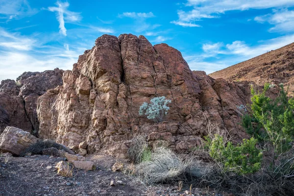 Vista Panorámica Naturaleza Yuma Arizona — Foto de Stock