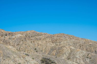 Palm Springs, Kaliforniya 'daki Pushawalla Palmiye Ağaçları