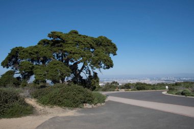 Kaliforniya 'daki San Diego Körfezi' nin nefes kesici manzarası